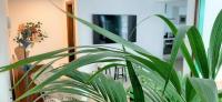 ALIZUTH HOME - B&B