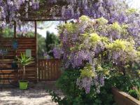 Maison d'hôtes Coeur d'Hérault - Gîte et Chambres d'hôtes - SPA & Massages - B&B Péret