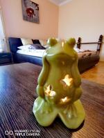 Zöld Béka Hőforrás Apartman - B&B Hajdúszoboszló