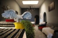 Eagle's Nest - Bed and Breakfast Barberton