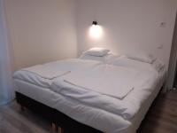Tweepersoonskamer met 1 of 2 Bedden en een Extra Bed