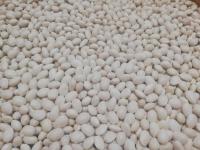 Agriturismo Terrerosse Di Massadita - B&B Aieta