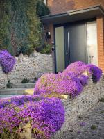 FeWo SANDKORN - Familien- Hunde - strandnah - große Loggia - Sauna & Wellness - B&B