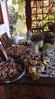 Siedlisko Gruszki Puszcza Białowieska - B&B Narewka