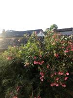 B&B du Couvent, vue château - Bed and Breakfast Giroussens