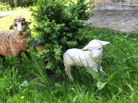 Village - B&B Yaremche