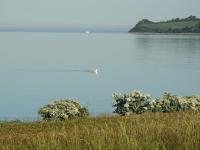 Appartamento con Vista Mare