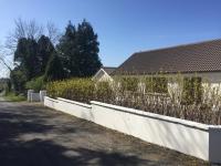 Carrick-on-Shannon Guest House - Bed and Breakfast