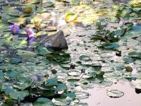 Guest House at 118 by PWM Architects - B&B Johannesburg