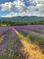 Villa con 3 Camere da Letto