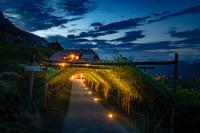 Finkenhof: Ferienwohungen - Urlaub auf dem Bauernhof - Chambres d'hôtes Termeno