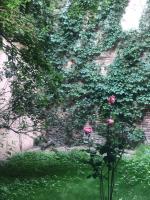 Apart Sova Dream apartments - Chambres d’hôtes Novi Sad