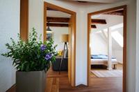 Apartamento con vistas al jardín