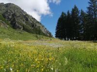 Appartamento Monolocale