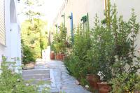 Carolina Apartments Crete - Bed and Breakfast Agia Pelagia