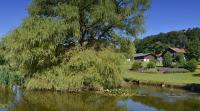 Gästehaus Wildgehege - Ferienwohnung Wilhelm