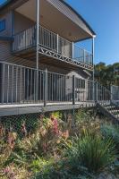 Echidna on Bruny - B&B Barnes Bay