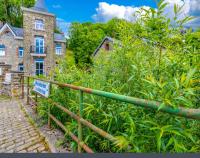 Le Petit Château de Harzé - Spa de nage chauffé toute l'année - Chambres d'hôtes Aywaille