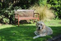 The Mill - Chambres d’hôtes Dunfanaghy