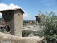 Le Logis des Remparts à l'intérieur de la Cité médiévale, Jardin privé, Parking inclus - B&B Carcasona