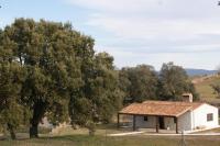 Villa Deluxe