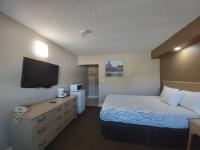 Camera Queen Standard