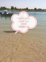 Ras Alkhyran Resort عائلات فقط