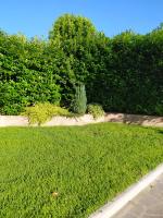 Soggiorno in Relax - B&B Correggioverde