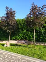 Soggiorno in Relax - B&B Correggioverde