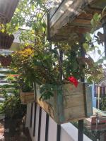 XAM HOUSE HOSTEL - B&B