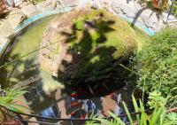 Sweet Dream Roma Termini - B&B Rome