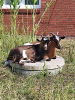 Appartamento su 2 Livelli