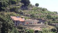 Casa a picco sul mare 5 terre - B&B