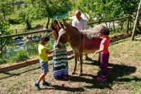 Vale do Ninho Nature Houses