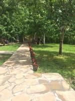 Domaćinstvo Trifunović - Bed and Breakfast Pretrešnja