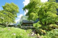 Alpine house Antonia - B&B Trenta