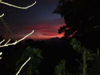 Hospedaria Alecrim - Pousada Sustentável APA - B&B Petrópolis