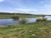 Naturhaus Allerblick - free Wifi - Bed and Breakfast Hülsen