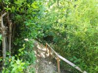 Angolo Felice B&B - B&B Castignano
