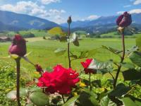 Appartement met Terras