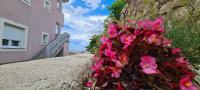 Apartmani Cesar - B&B Rtina
