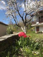 ΕΞΟΧΙΚΗ ΚΑΤΟΙΚΙΑ ΕΥΑΓΓΕΛΙΑ - B&B Pávliani