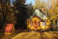 Nedsaja metsamaja ja saun - B&B Nedsaja