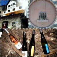 Ferienwohnungen Lithos - B&B Oberwesel