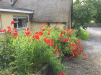 Bridge Cottage - B&B Cork