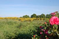 Le Pont St Michel - B&B Maneroch