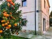 Az. Agr. Parco dei Buoi - Ferienwohnung