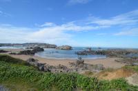 Pinedo II - 6816 - B&B Noja