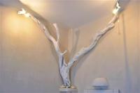 Deluxe Studios & Suites Ageri-Milos - Bed and Breakfast Adámas