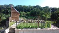 Apartmány Moravia - B&B Milovice